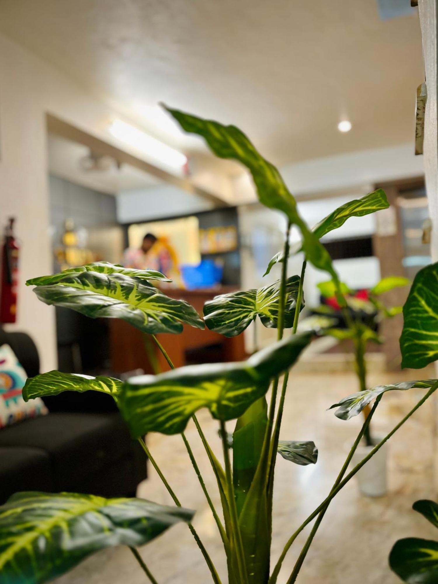 Sai Shreyas Residency, Best Hotel Near Bangalore Airport Dod Jala Eksteriør billede